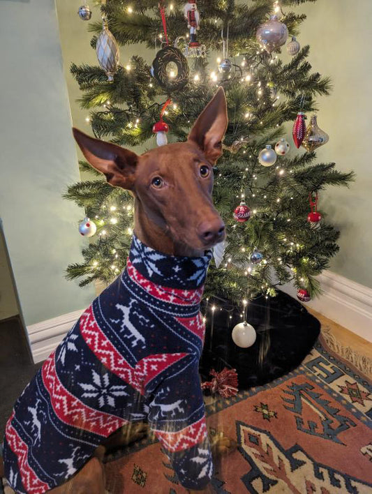 Nordic Reindeer Polar Fleece For all sighthounds
