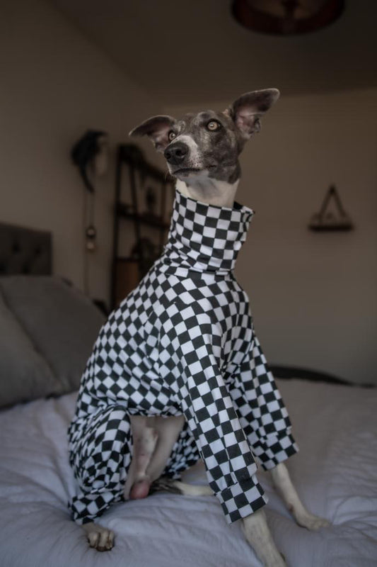 Checkered Monochrome Jersey Onesie For Whippets & Italian Greyhounds