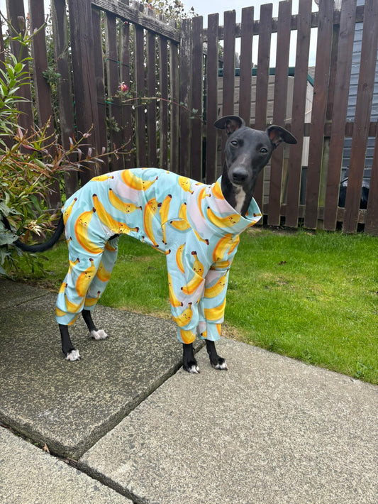 Cute Bananas Jersey Pyjamas For Iggies & Whippets