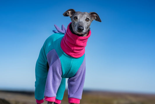 Malibu Fleece Onesie For Whippets & Italian Greyhounds