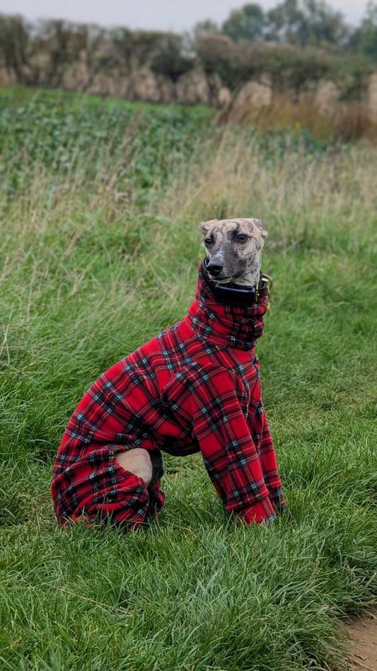 Red Tartan Fleece Onesie For Whippets & Italian Greyhounds