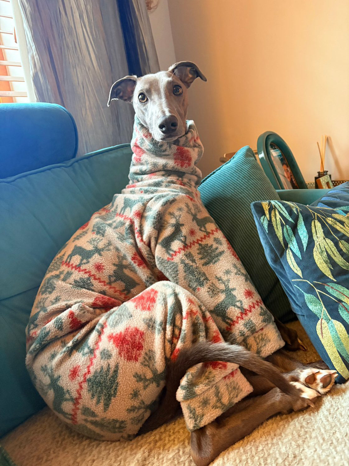 Fairisle Fleece Onesie For Whippets & Italian Greyhounds
