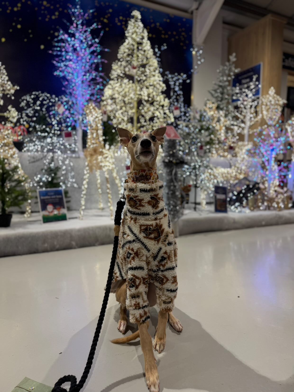 Aztec Printed Sherpa Fleece Sighthound Jumper