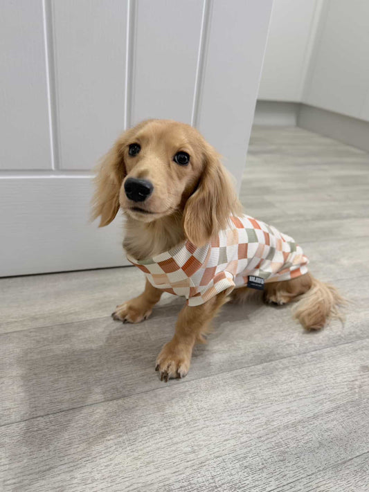 Neutral Check Ribbed Jersey T-Shirt Dachshund/Small Breed