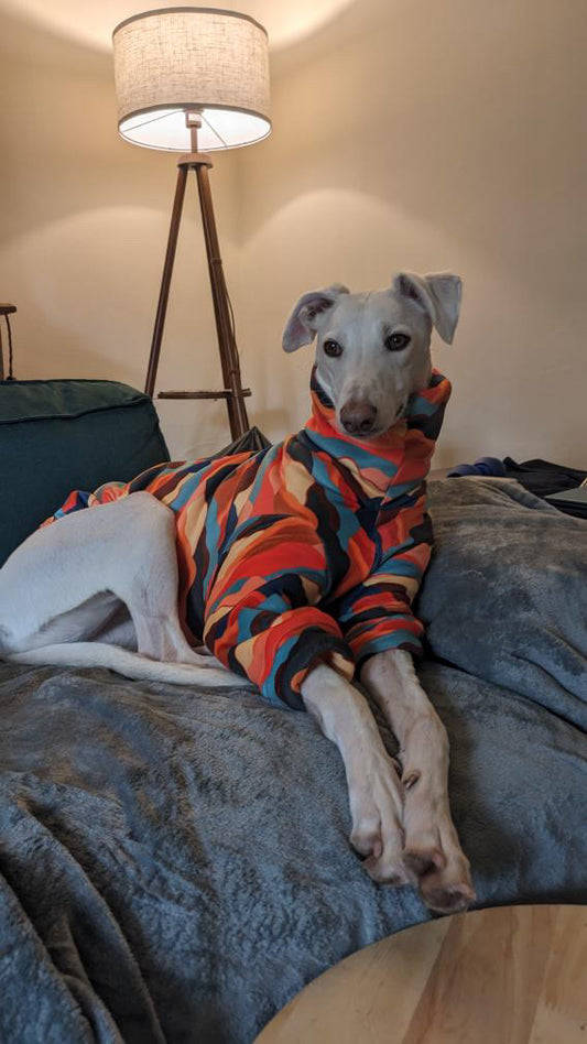 Long Sleeve Mountain Print Fur lined fleece For Italian Greyhounds, Whippets and Greyhounds