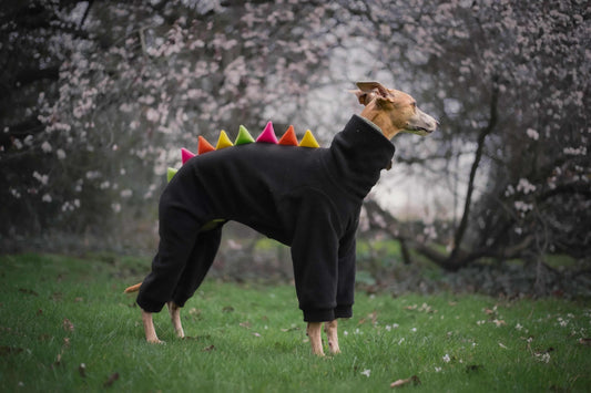 Black with Bright Spikes Dinosaur Onesie For Iggies & Whippets