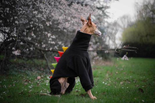 Black With Bright Spikes Spikes Dinosaur Onesie For Greyhounds