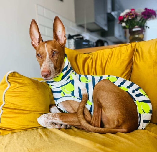 Sighthound Tennis Ball Jersey Tankie 🎾