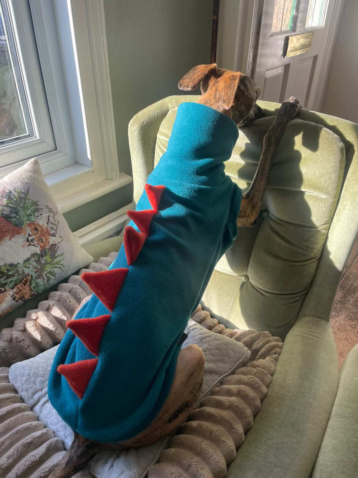 Petrol & Terracotta Sighthound Dinosaur Fleece Tankie