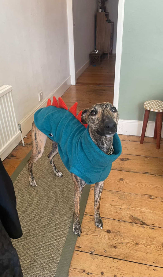 Petrol & Terracotta Sighthound Dinosaur Fleece Tankie