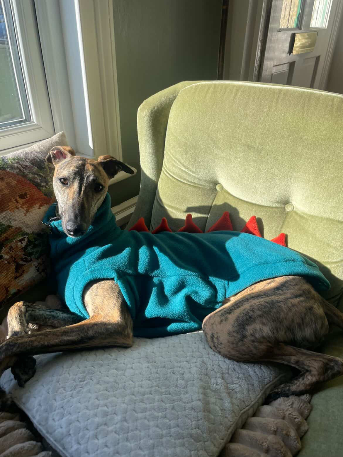 Petrol & Terracotta Sighthound Dinosaur Fleece Tankie