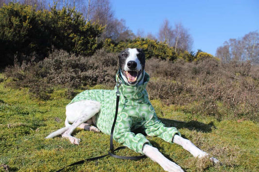 Green Retro Circles Fleece Onesie For Greyhounds