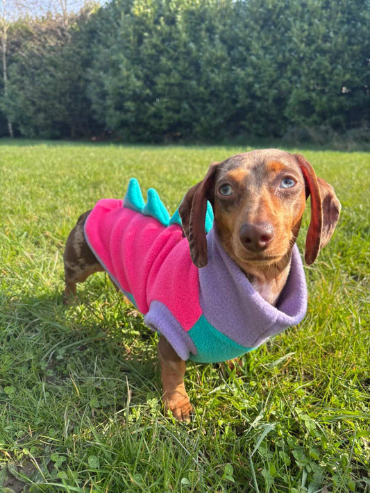 Malibu Dinosaur Dachshund/Small Breed Tankie