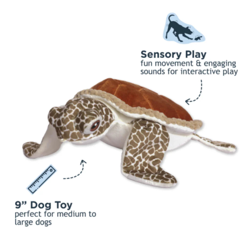 Tall Tails Interactive Turtle