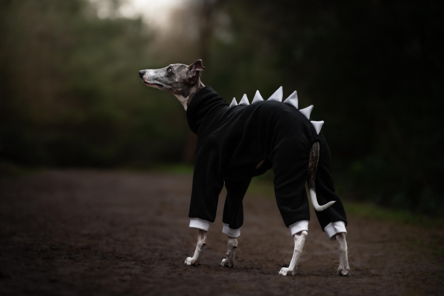 Black with White Spikes Dinosaur Onesie For Iggies & Whippets