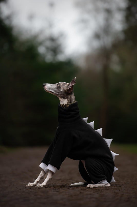 Black with White Spikes Dinosaur Onesie For Iggies & Whippets