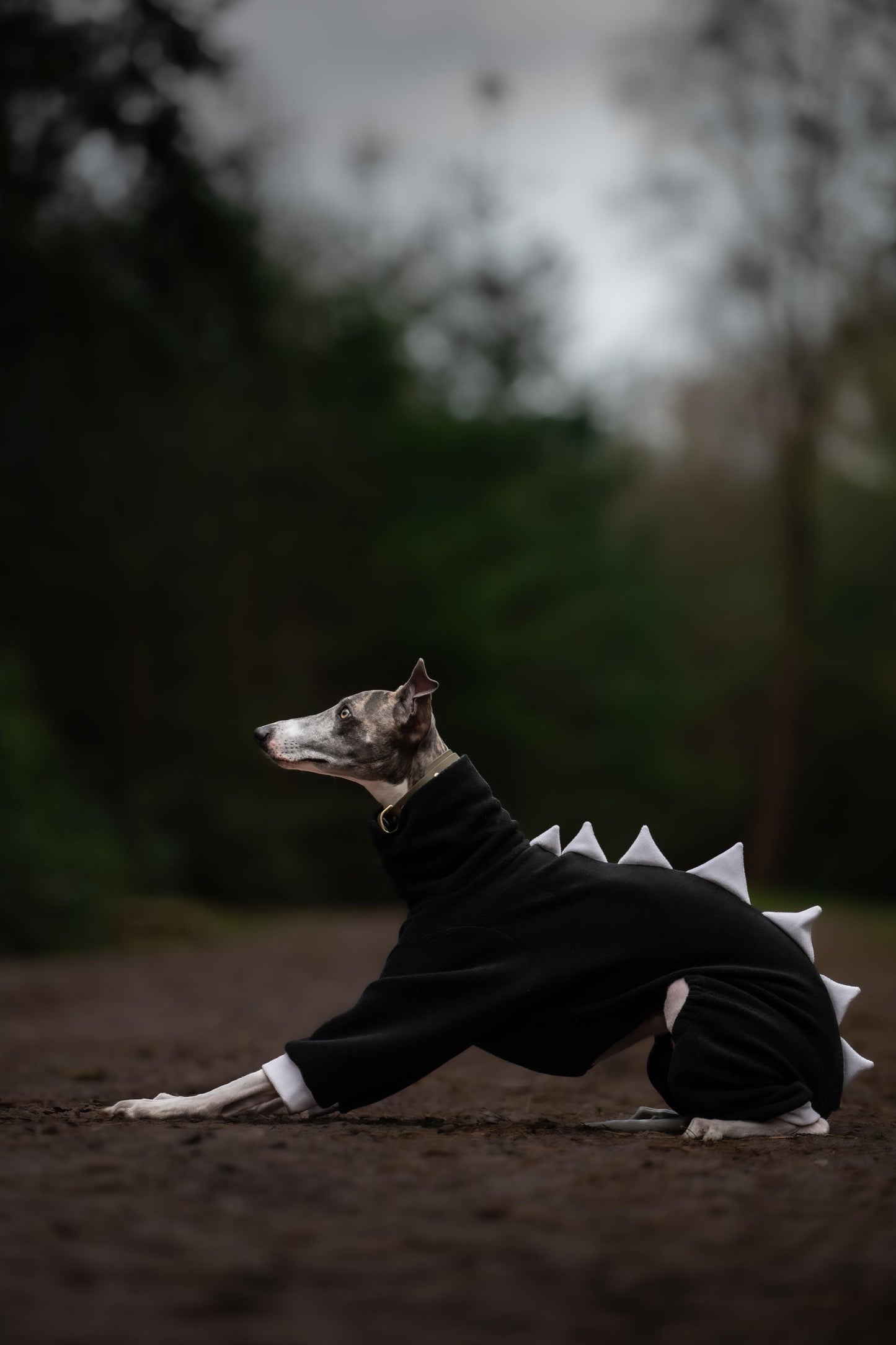 Black with White Spikes Dinosaur Onesie For Iggies & Whippets