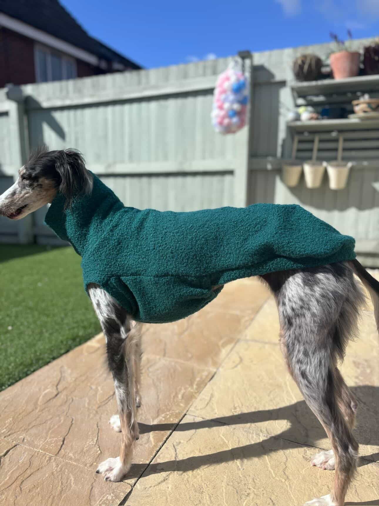 Luxury Boucle Tankie For Italian Greyhounds - Leave colour choice at the checkout