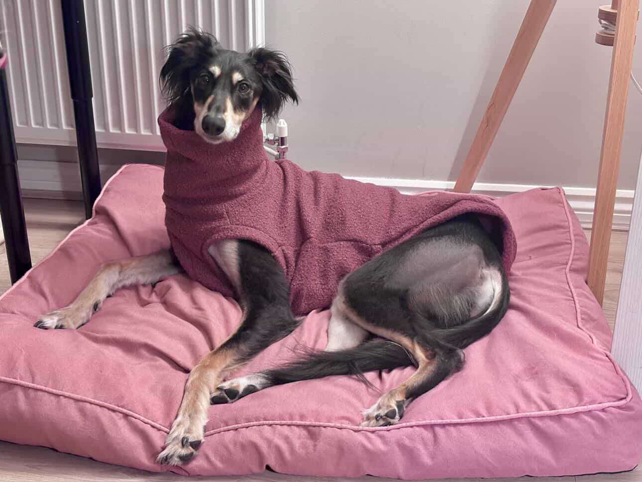 Bleu's Boucle Luxe Tankie For Whippets - Leave colour choice at checkout