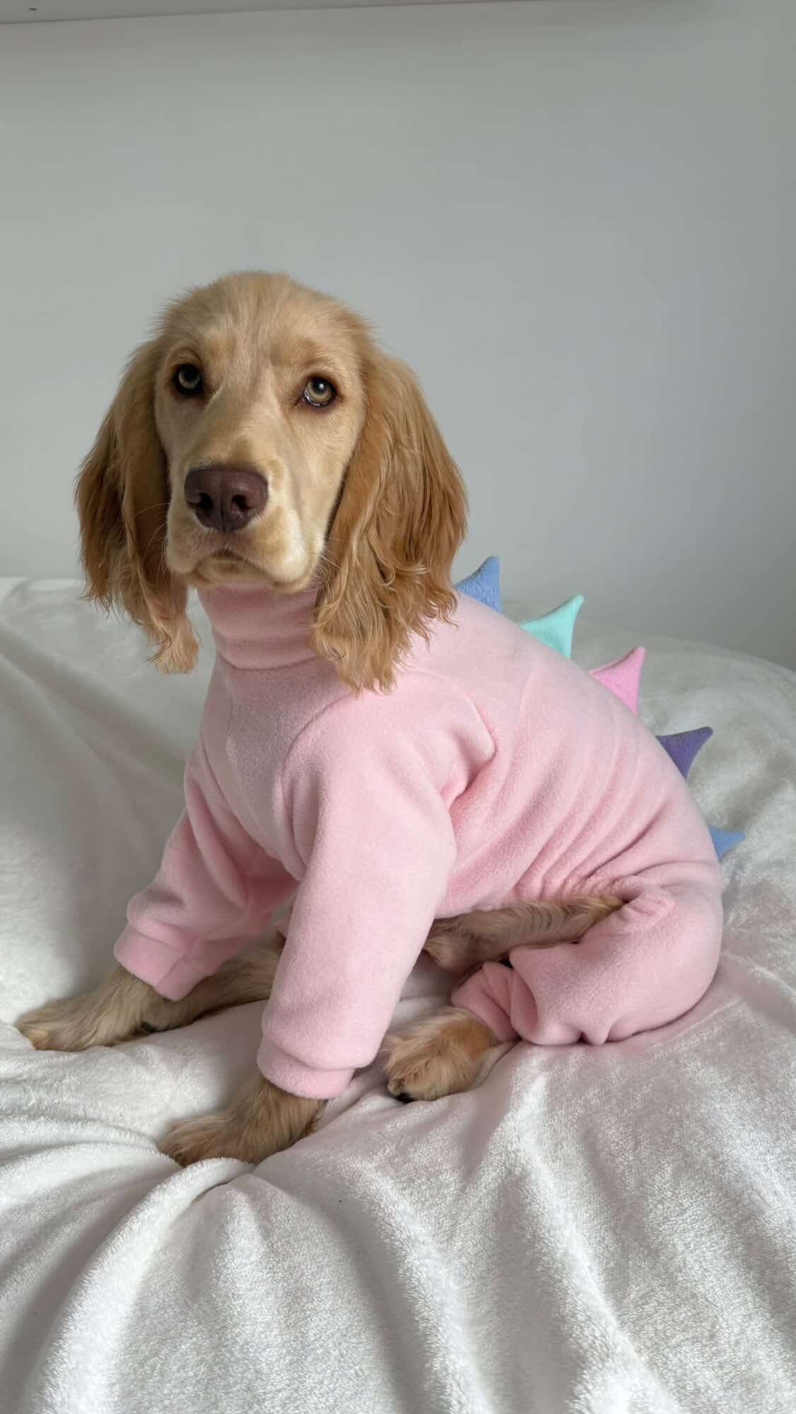Pink & Pastel Dinosaur Onesie For Iggies, whippets & Custom
