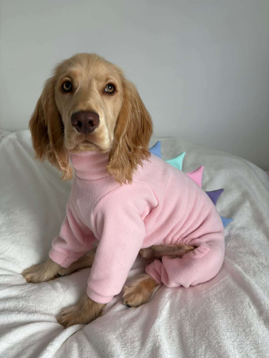 Pink & Pastel Dinosaur Onesie For Iggies, whippets & Custom