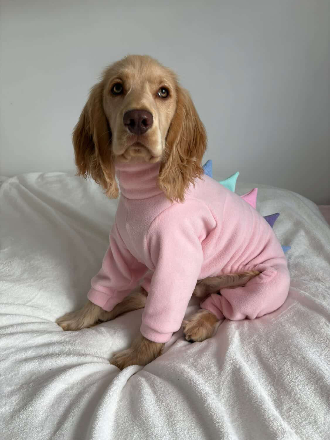 Pink & Pastel Dinosaur Onesie For Iggies, whippets & Custom
