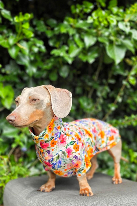 Floral Bamboo Jersey T-Shirt Dachshund/Small Breed