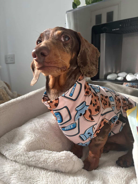 Milk & Cookies Jersey Dachshund Tankie