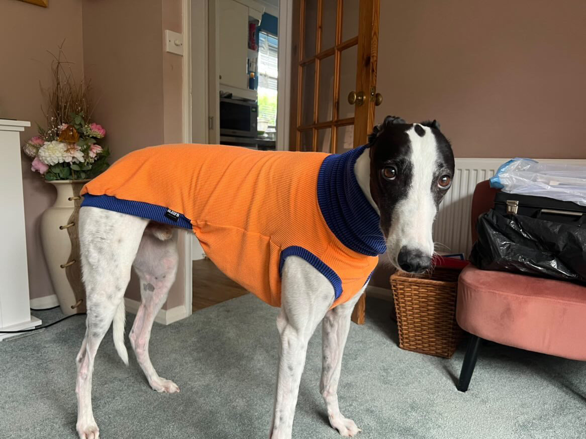 Greyhound Crinkle Jersey Tankie - Please leave colour choice at checkout!