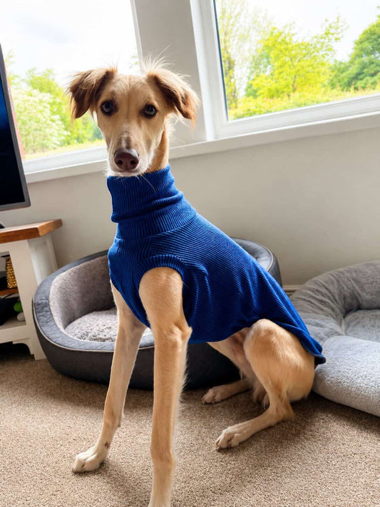 Greyhound Crinkle Jersey Tankie - Please leave colour choice at checkout!