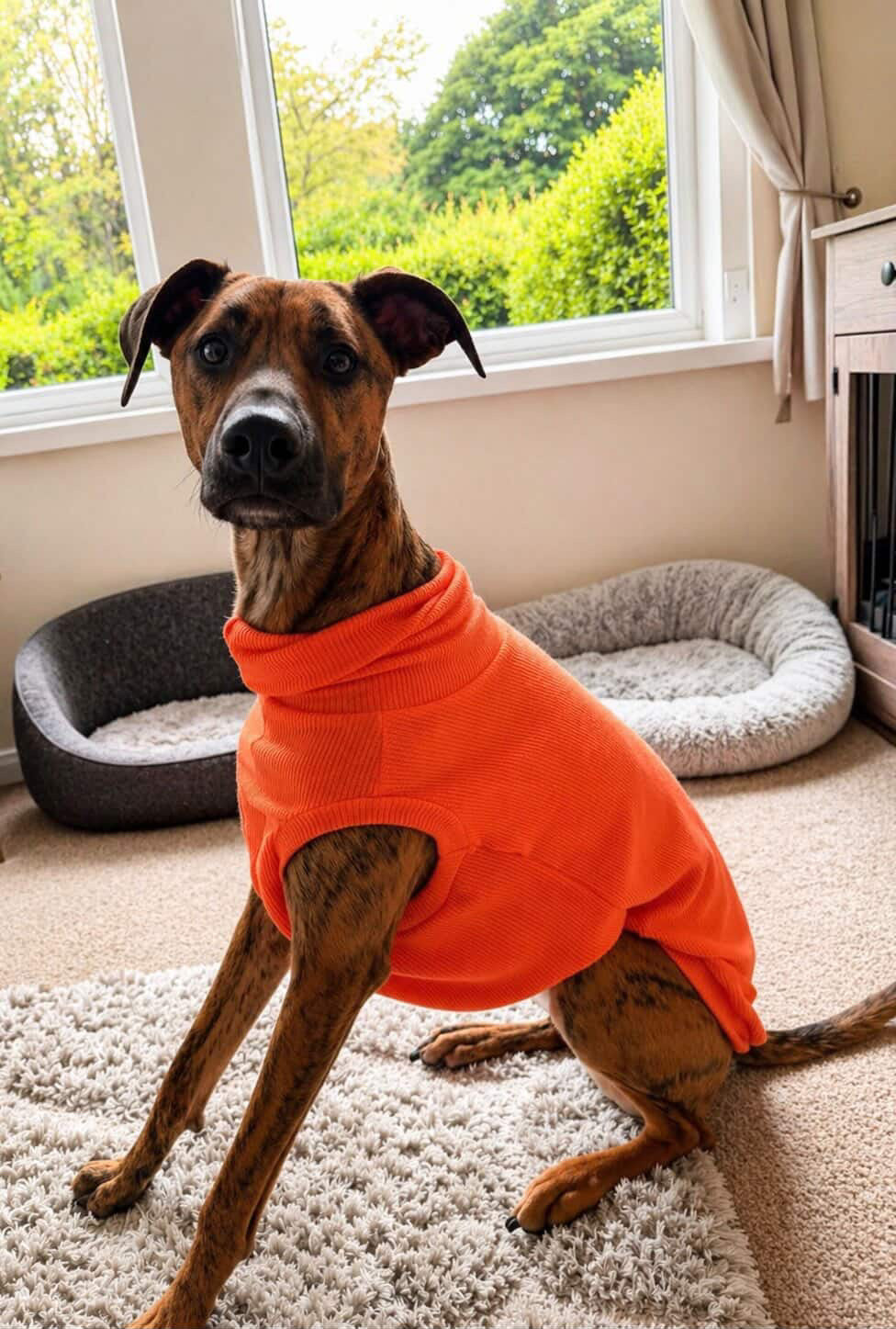 Greyhound Crinkle Jersey Tankie - Please leave colour choice at checkout!