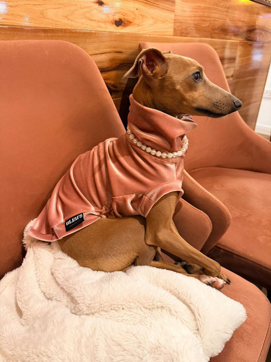 Velvet Luxe Collection Sighthound Tankie - all sizes