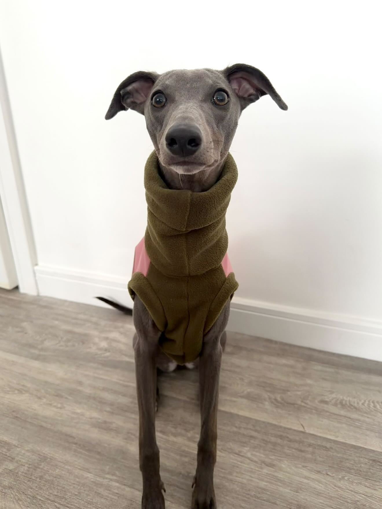 Dusky Pink & Moss Sighthound Duo Fleece Tankie With Softshell Back Panel