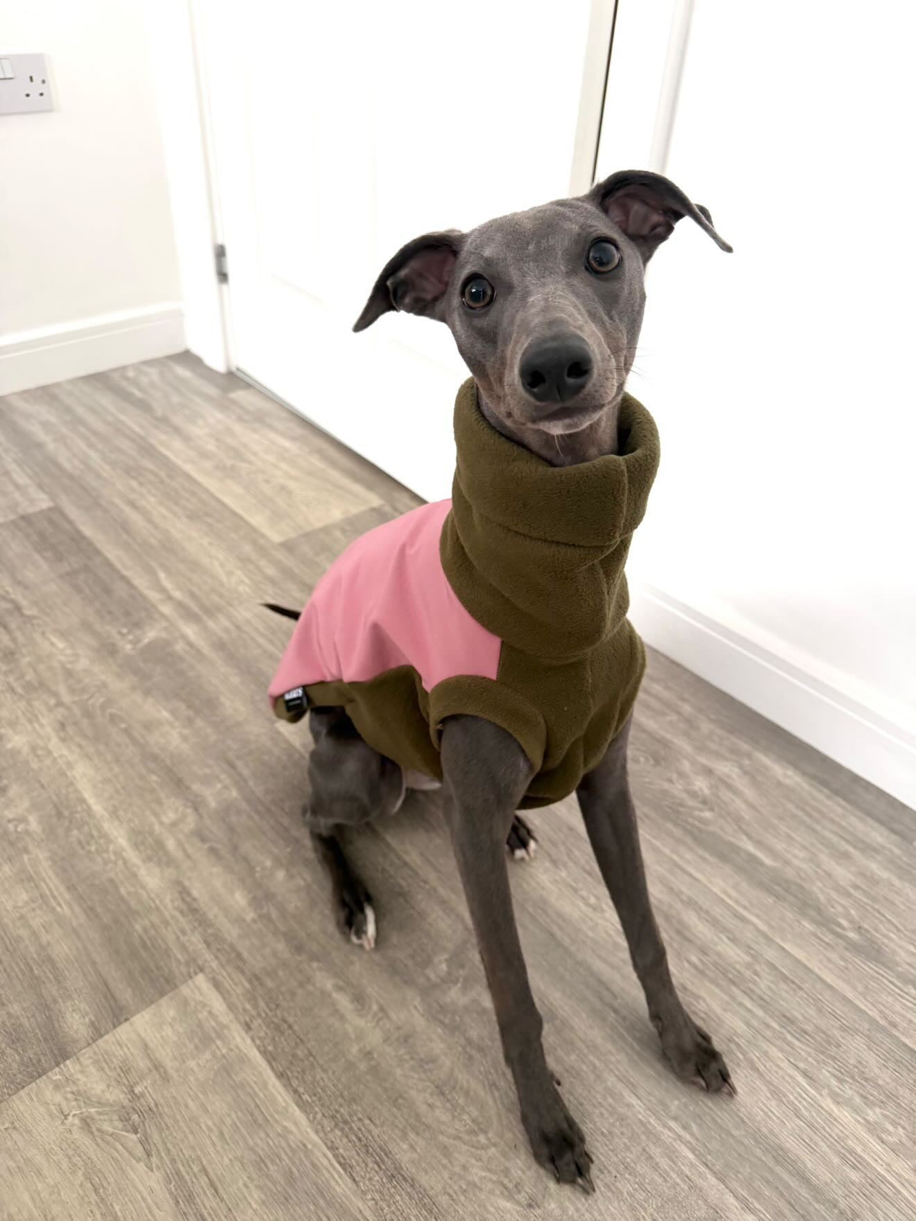 Dusky Pink & Moss Sighthound Duo Fleece Tankie With Softshell Back Panel