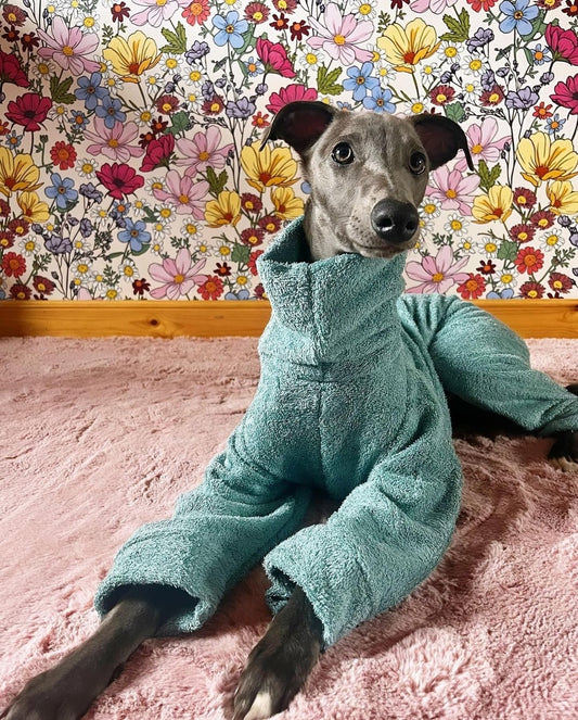 Greyhound Bamboo Drying Suit