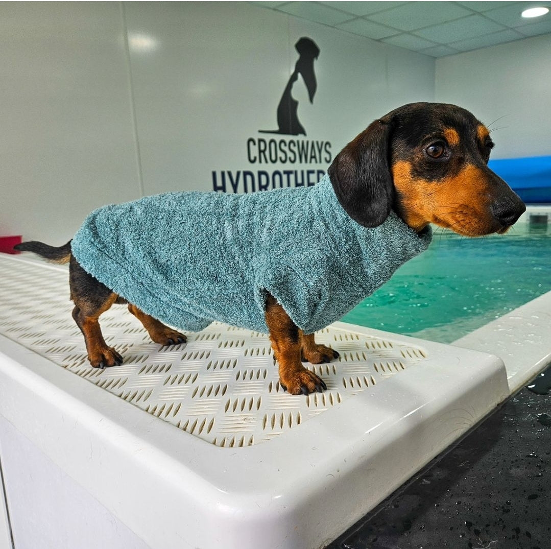 Dachshund/Small Breed Bamboo Drying Jumper