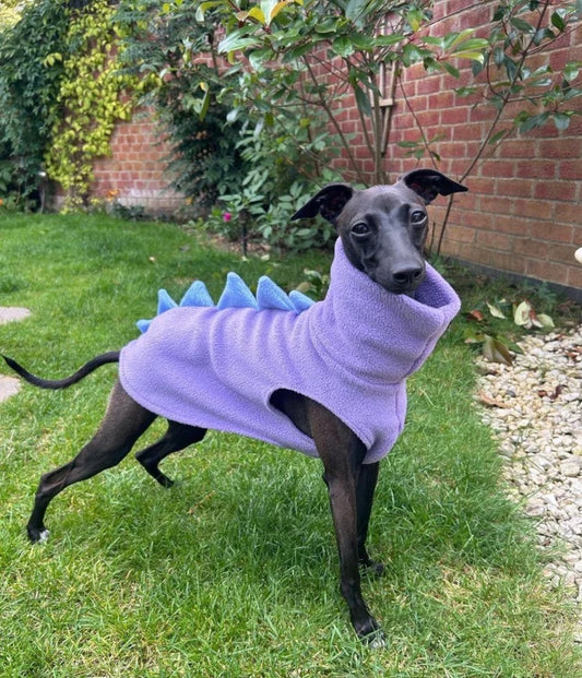 Whippasaur Fleece Sighthound Jumper