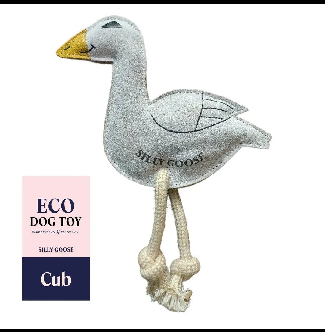 Silly Goose Eco Toy