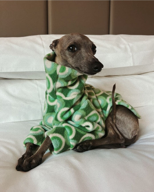 Long Sleeve Retro Green Long Sleeve Fleece