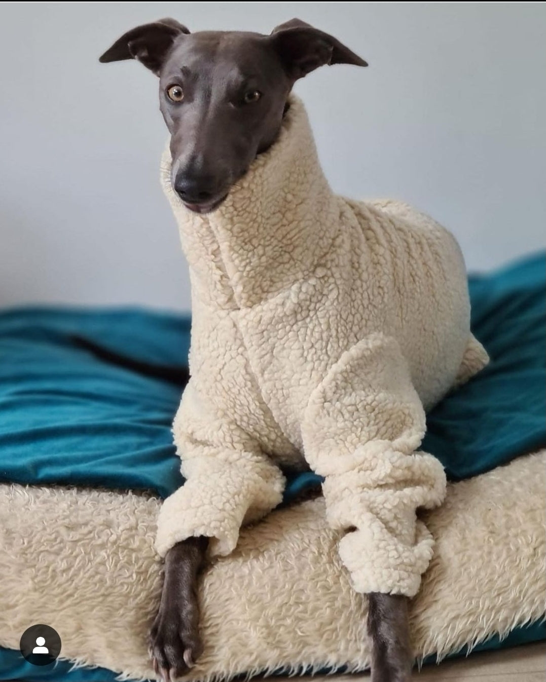 Cream Sherpa Fleece Sighthound Jumper