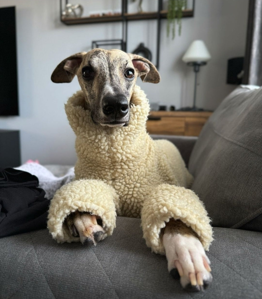 Cream Sherpa Fleece Sighthound Jumper