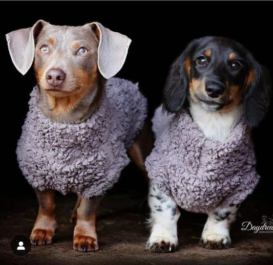 Soft Sherpa Fleece Jumper Dachshund/Small Breed Tankie