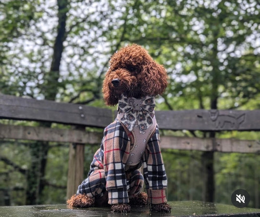 Furberry Fleece Italian Greyhound/Small Breed Fleece Onesie
