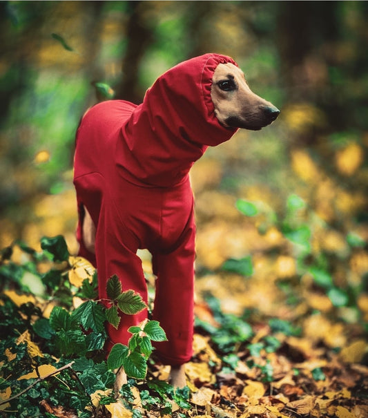Softshell Water Resistant Suit For Greyhounds