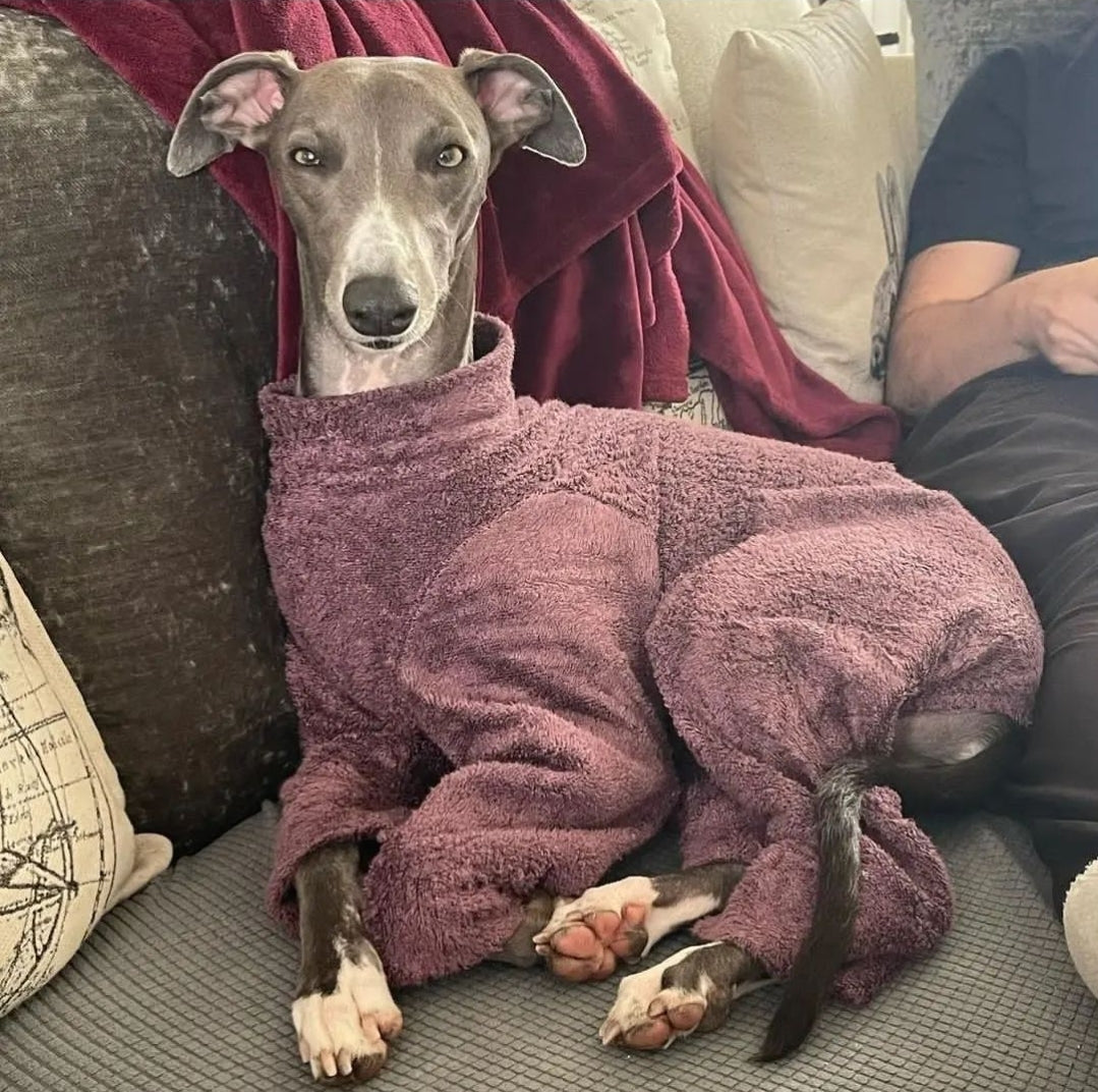 Greyhound Bamboo Drying Suit