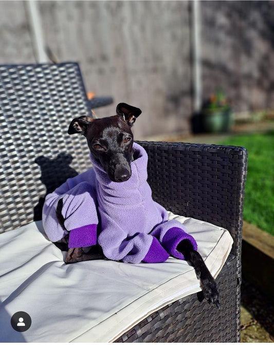 Italian Greyhound Fleece Onesie