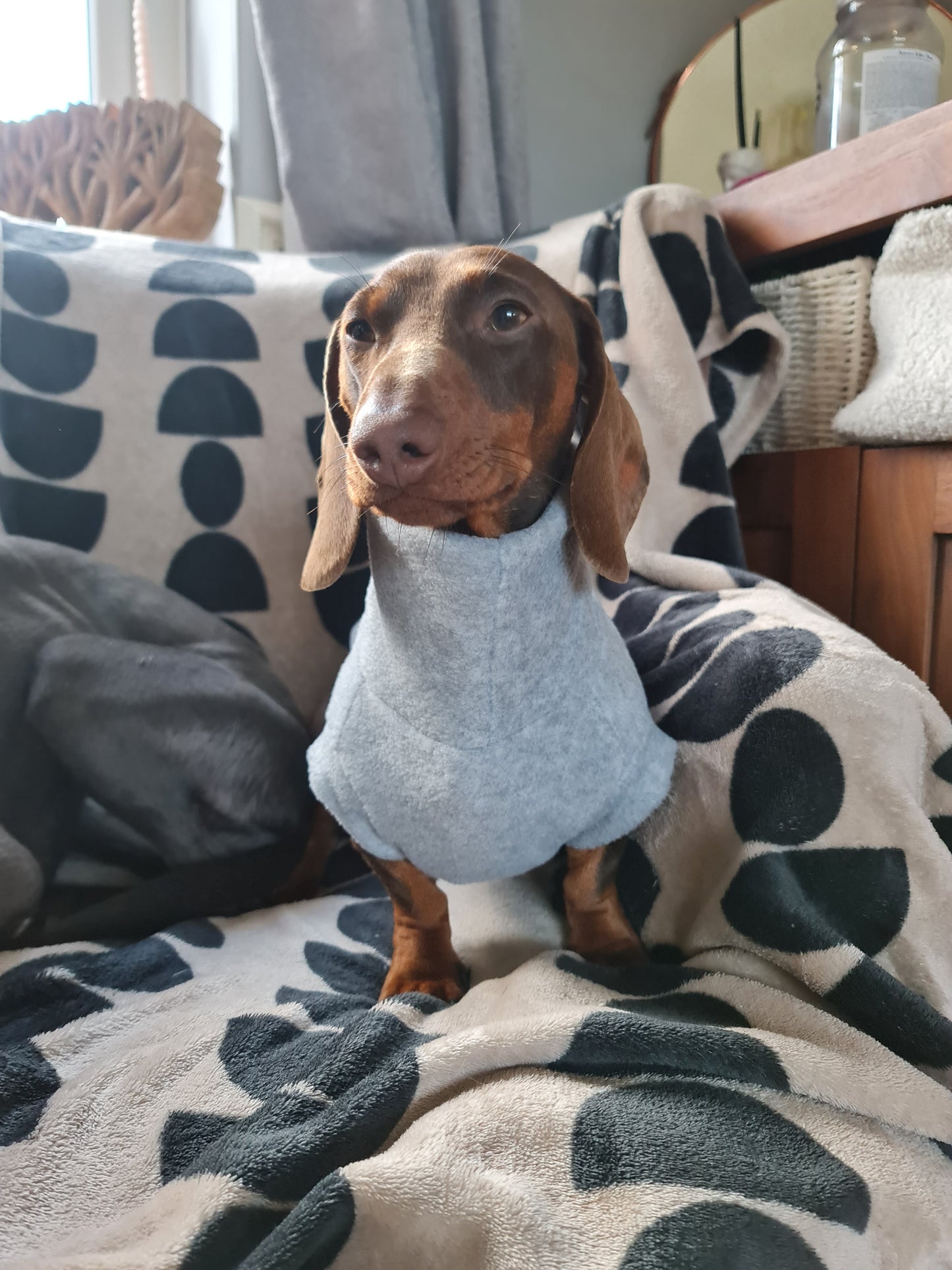 *New* Super Soft Marl Grey Dachshund/Small Breed Tankie