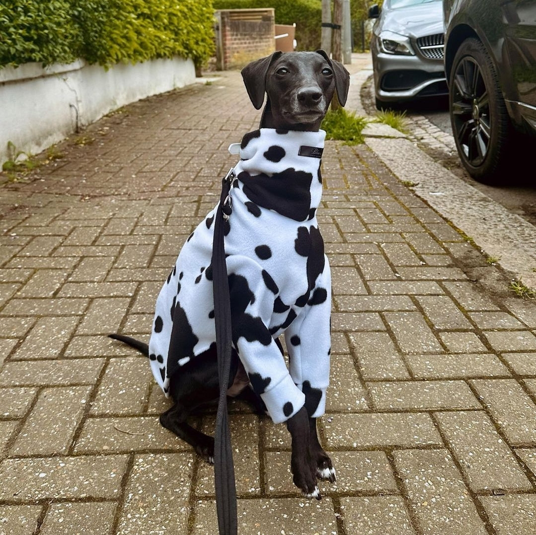 Long Sleeve Cow Print Jumper