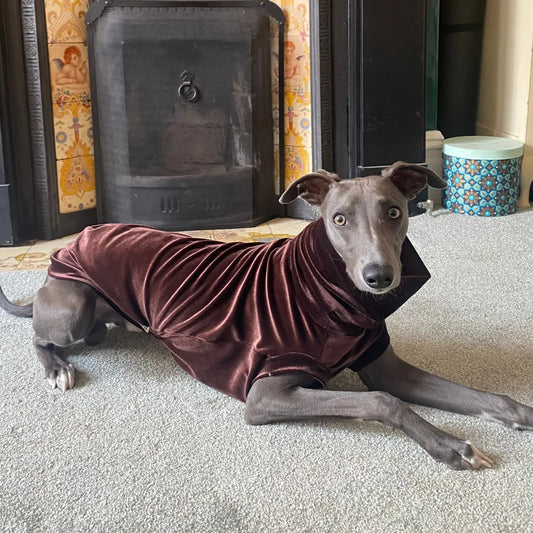 Greyhound Velvet Jersey Tankie - Please leave colour choice at checkout!