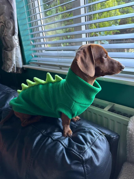 Emerald & Kiwi Dinosaur Dachshund/Small Breed Tankie